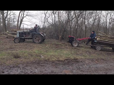 Видео: Перевозимо, дрова з сусідом мотоблоком і долучили мого трактора до роботи!!!