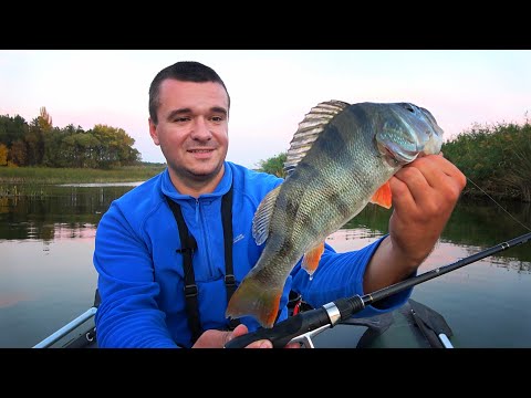 Видео: УЛЬТРАЛАЙТ РЫБАЛКА!!! ЛОВЛЯ ЩУКИ на ЖИВЦА в октябре 2020