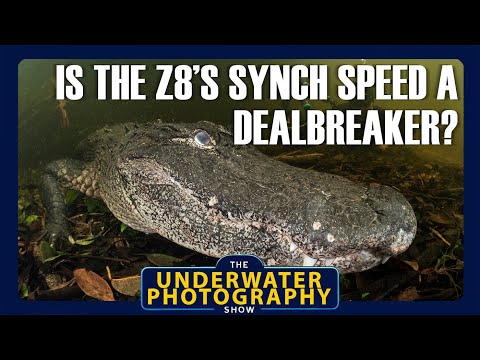 Видео: Проблемы и решения для камер с более низкой скоростью синхронизации для подводной съемки