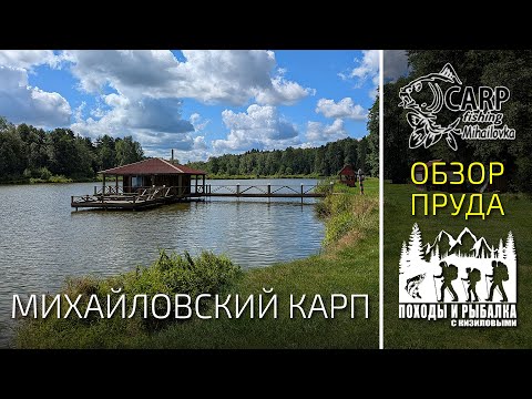 Видео: Михаловский карп обзор водоема (Август 2025)
