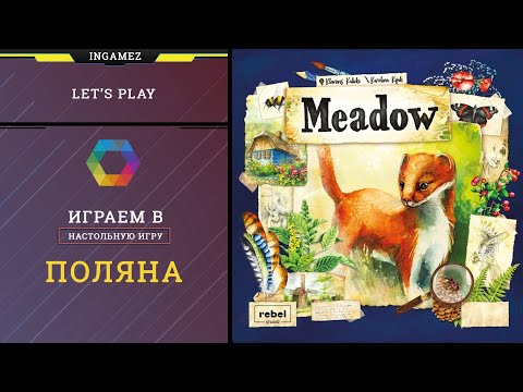 Видео: Настольная игра Поляна.  Играем вдвоем