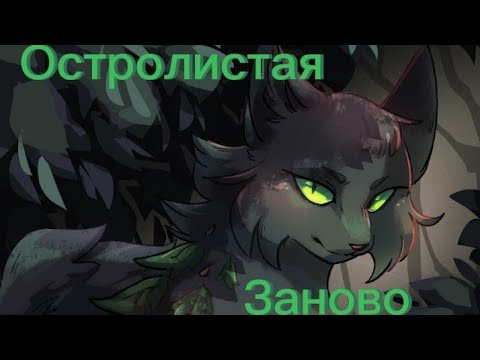 Видео: Коты Воители; Остролистая, Клип «Заново». [Заказ от канала Nightail.]