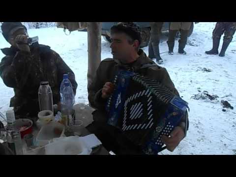 Видео: одна пуля и три кабана