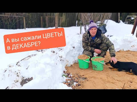 Видео: В деревне как всегда... Всего понемножку