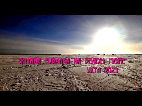 Видео: Зимняя рыбалка на белом море 2023. Ухта