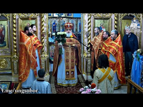 Видео: Поздравленіє из Днем Ангела прот.  Димитрія Сидора в Ужгородѣ. 08.11.2025