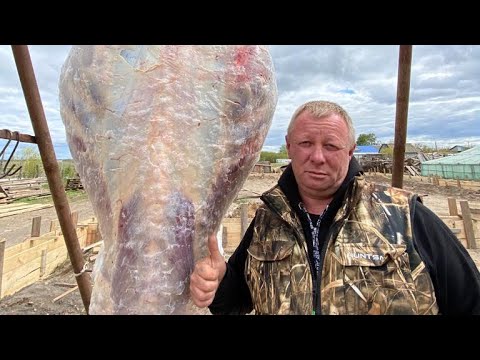 Видео: МЯСО ТАЕТ НА ГЛАЗАХ! ПЛОВ  ПО ВСЕМ ТРАДИЦИЯМ НА ДРОВАХ ! ENG SUB #рецепт #плов #мясо