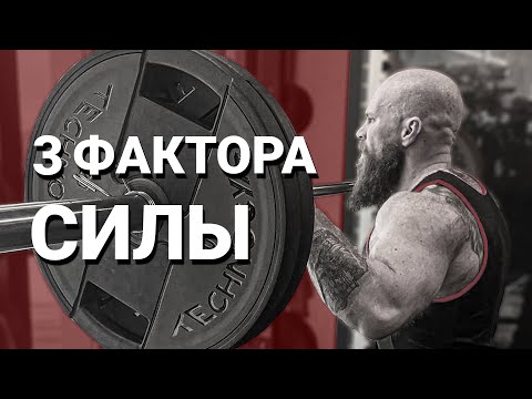 Видео: Секреты увеличения силы: эффективные тренировки и советы!