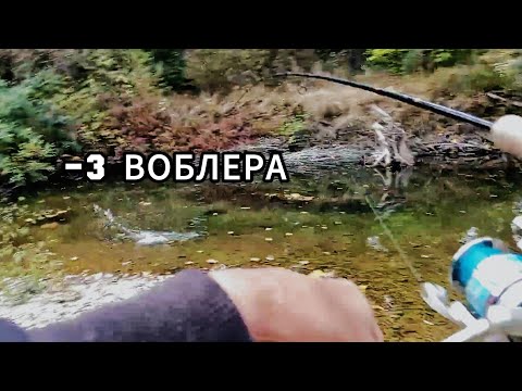 Видео: СКЪСАХ 3 ВОБЛЕРА. 