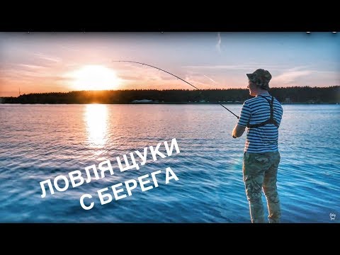 Видео: Ловля Щуки с Берега на Верхней Волге. Поймал Отпусти