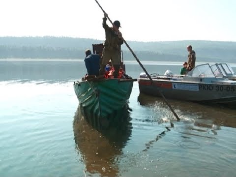 Видео: Край без окраин: кладовая сибирских рек - часть 2