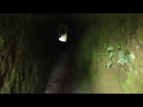 Видео: 🏕 Лагерь Старателей. Nelson Creek, Новая Зеландия, Поиск Золота.