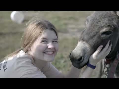 Видео: СОЛЬБА: ОБИТЕЛЬ НЕУНЫВАЮЩИХ. Беседа с игуменией Еротиидой (Гажу). 5 часть