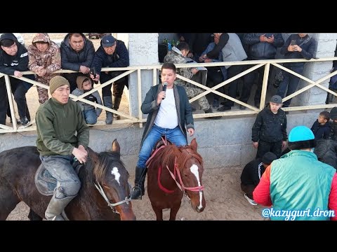 Видео: 21.02.2025 Арыс қаласы Жасұлан бауырымыздың дүбірлі көкпар тойы