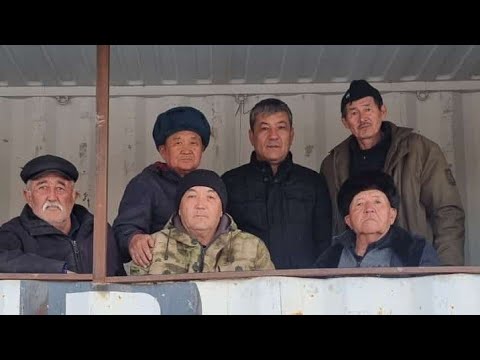 Видео: 25.01.2025 Қазығұрт ауданы Алтынтөбе ауылы Олжас бауырымыздың елден бата алу көкпар тойы