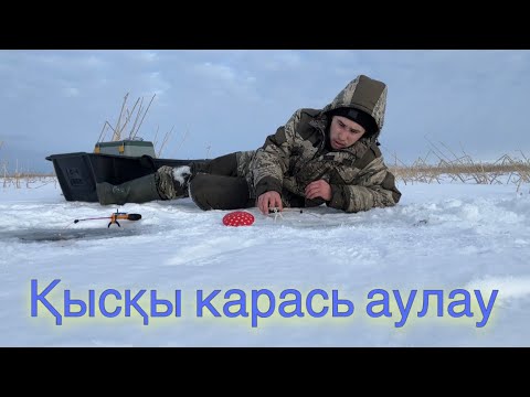 Видео: Қамыста тығылған Карасьтарды Шығардық