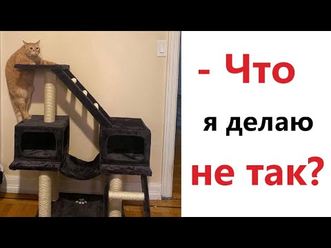 Видео: Приколы! Мемы! ЧТО Я ДЕЛАЮ НЕ ТАК! Смешные видео от Доми шоу!