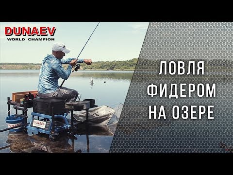 Видео: Ловля фидером на озере