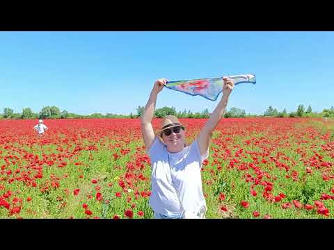 Видео: Маковые поля. Шаакен. 