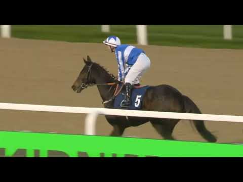 Видео: 1645 НЬЮ-КАСЛ-СОЕДИНЕННОЕ КОРОЛЕВСТВО