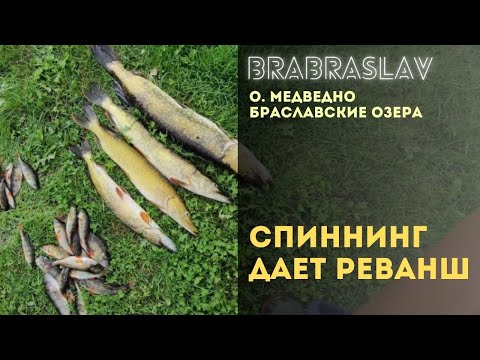Видео: Месть спиннинга на о. Медведно! Кружки в шоке. - Браславские озера