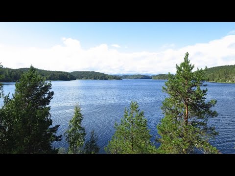 Видео: Север Ладожского озера. Поход и рыбалка в Куркиеки.