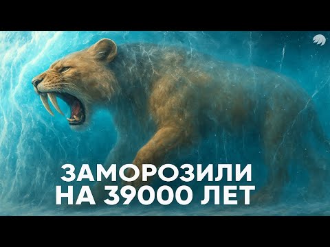 Видео: 4 ЧАСА ШОКИРУЮЩИХ фактов о Ледниковом периоде, о которых молчат в ШКОЛЕ