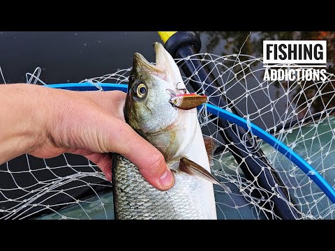 Видео: Smith d-incite 44 - фаворит по жереху цього сезону