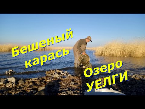 Видео: Озеро Уелги опять порадовало. Половил карася на пикер.