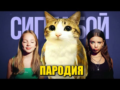 Видео: Песня Клип КОТ ПТИЦА МЯУЛ МЕМ Сигма Бой ПАРОДИЯ / Meowl