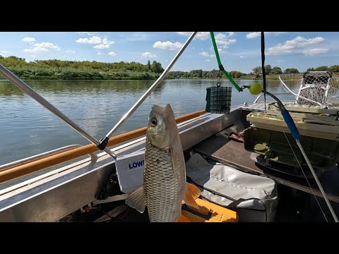 Видео: Рыбалка на реке Дон. Донки и троллинг.