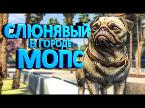 Видео: МОПС ЗАХВАТИЛ ГОРОД в ГТА 5 🐶ПО КЛИЧКЕ "СЛЮНЯВЫЙ ГАНГСТЕР"