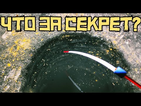 Видео: ЭТО РАБОТАЕТ ВСЕГДА! Простая снасть СНОВА СПАСАЕТ рыбалку!