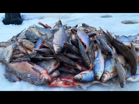 Видео: ШКРЕБЕМ ДНИЩЕМ И НЕ ЗРЯ! ПРОБРАЛИСЬ ТУДА ГДЕ ДИЧАЙШИЙ ЖОР!