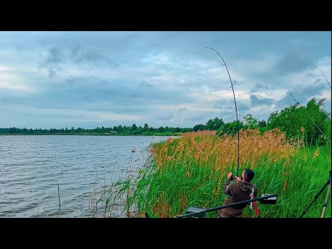 Видео: Амури Ракети тягнуть у Воду! Кричевичі