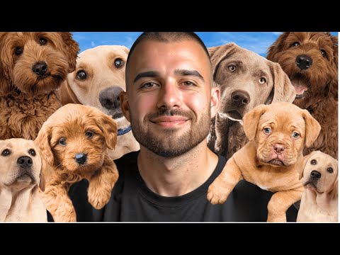 Видео: ПОСЕТИХМЕ КУЧЕШКИ ПРИЮТ ГОРНИ БОГРОВ