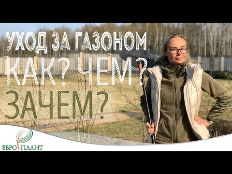 Видео: Уход за газоном. Как, зачем и чем?