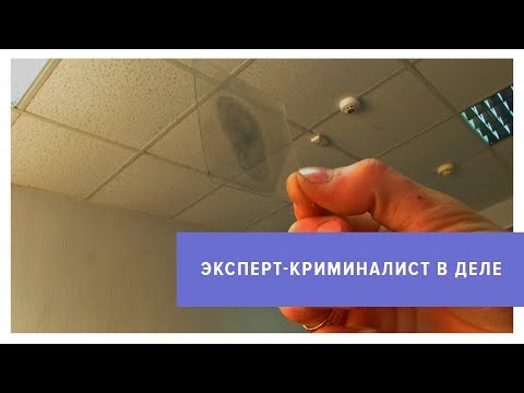 Видео: Что скрывается в чемодане криминалиста