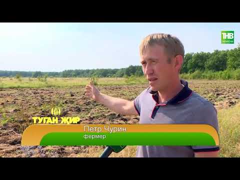 Видео: Туган җир 02/09/22