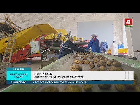Видео: ВТОРОЙ ХЛЕБ