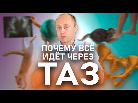 Видео: ПОЧЕМУ БОЛЯТ НОГИ