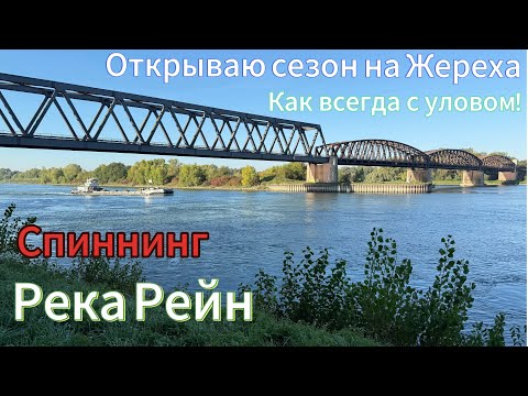 Видео: Открываю сезон на Жереха! Рыбачу на самой большой реке в Германии. Результат радует!