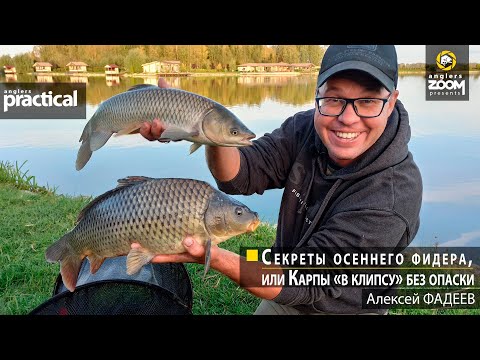 Видео: Секреты осеннего фидера, или Карпы «в клипсу» без опаски. Алексей Фадеев. Anglers Practical