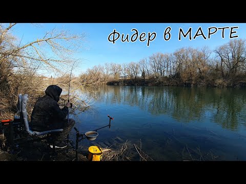 Видео: Фидер в МАРТЕ | Рыбалка на Дону ранней весной