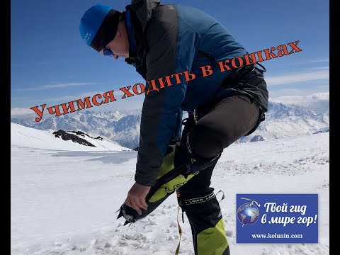 Видео: Как правильно ходить в кошках