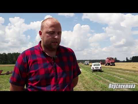 Видео: Уборочная кампания в филиале "Скидельский"