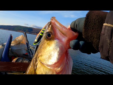 Видео: Судак В ОТВЕС с лодки. ПЛАВАЮЩИЙ якорь, ВИБЫ и РАТЛИНЫ, скорость лодки🤫