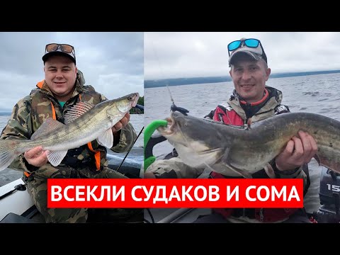 Видео: Судак и сом на джиг. Рыбалка на Сурском водохранилище