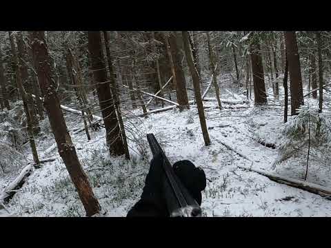 Видео: 02 11 2024 г. Пятый выстрел оказался удачным.