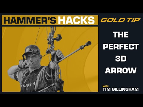 Видео: Хаммерс Хэк №8 — Идеальная 3D-стрела